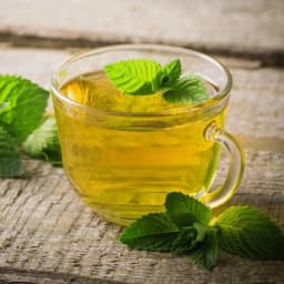 Peppermint Tea Regular