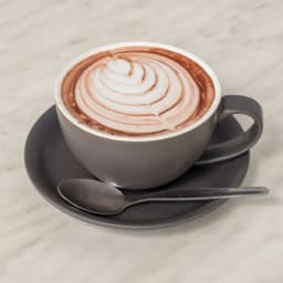 Hot Chocolate Regular